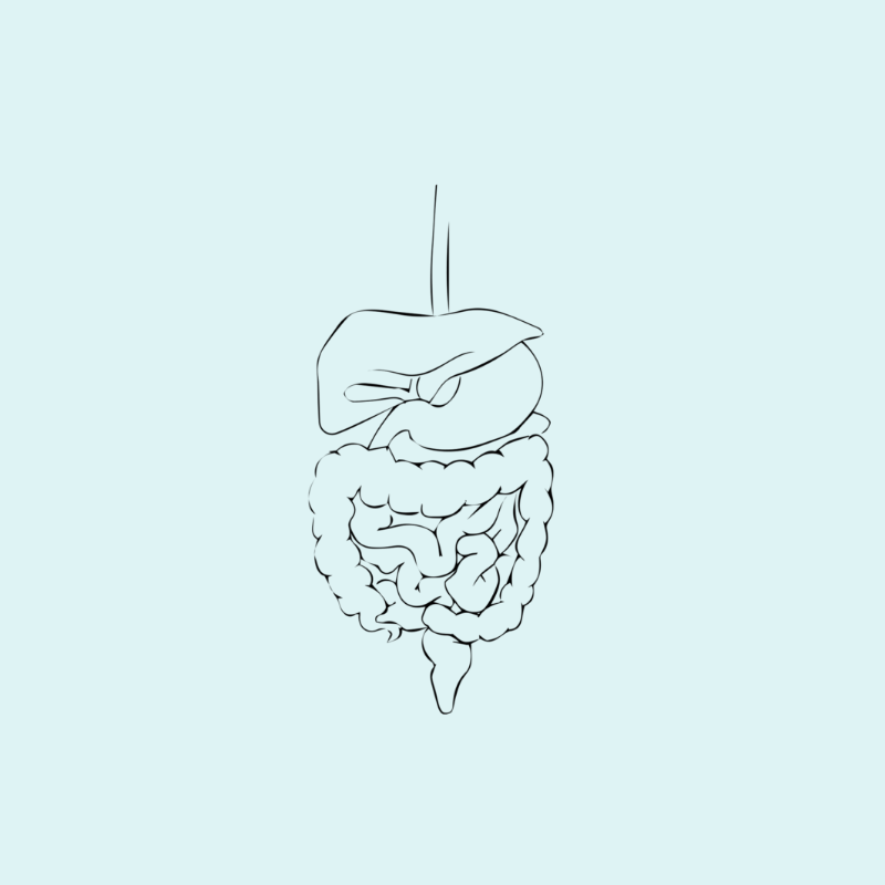  Gut Health