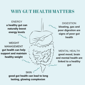  importance of gut health, featuring colorful illustrations and informative text.