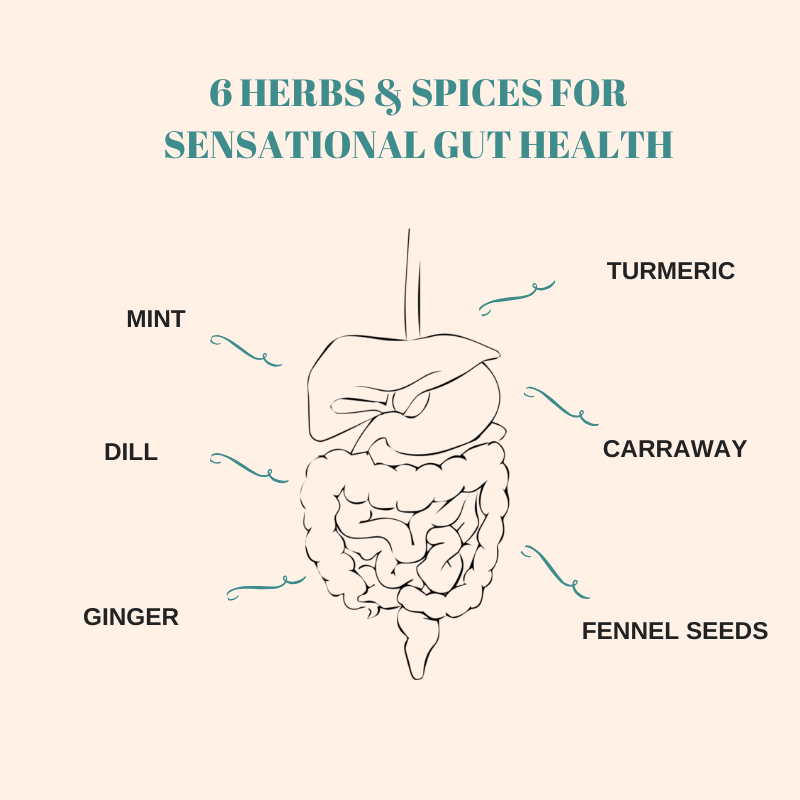 Six Spices for Sensational Gut Health