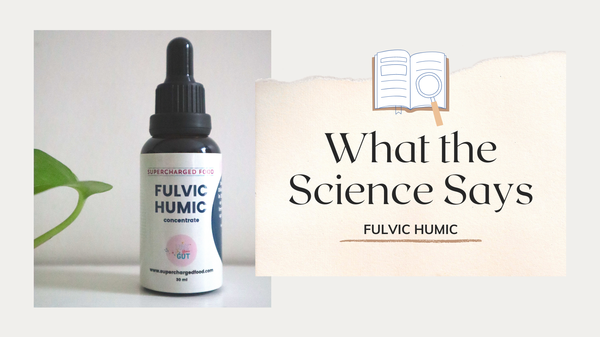 What the Science Says: Fulvic Humic