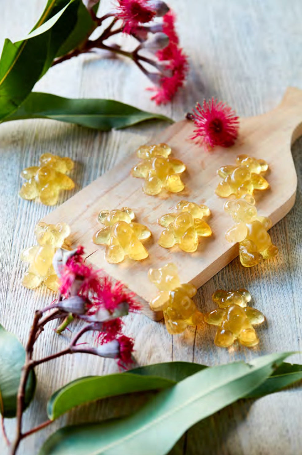 showcased alongside apple cider vinegar gummy bears.