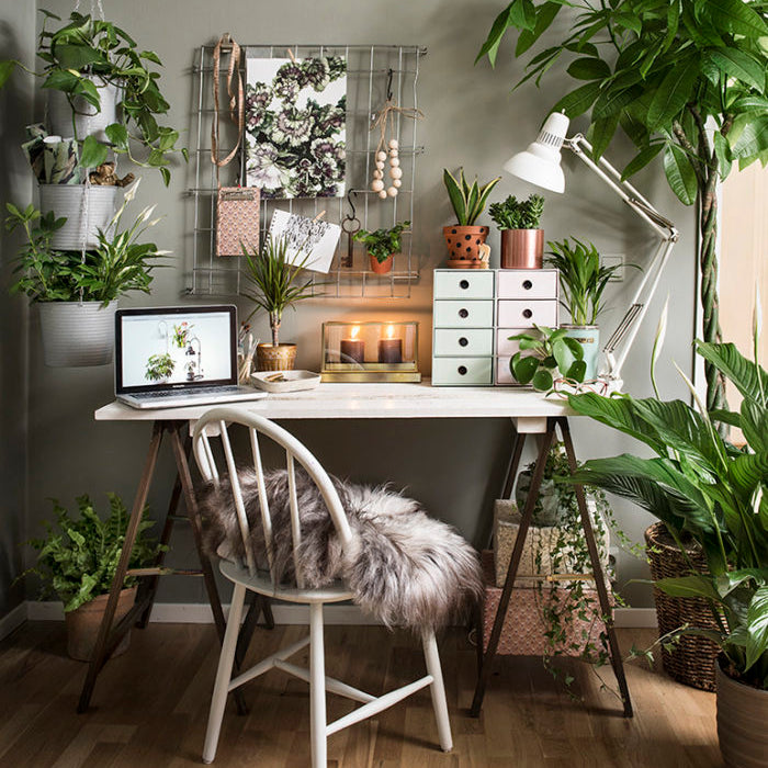How to have a healthy ‘work from home’ life