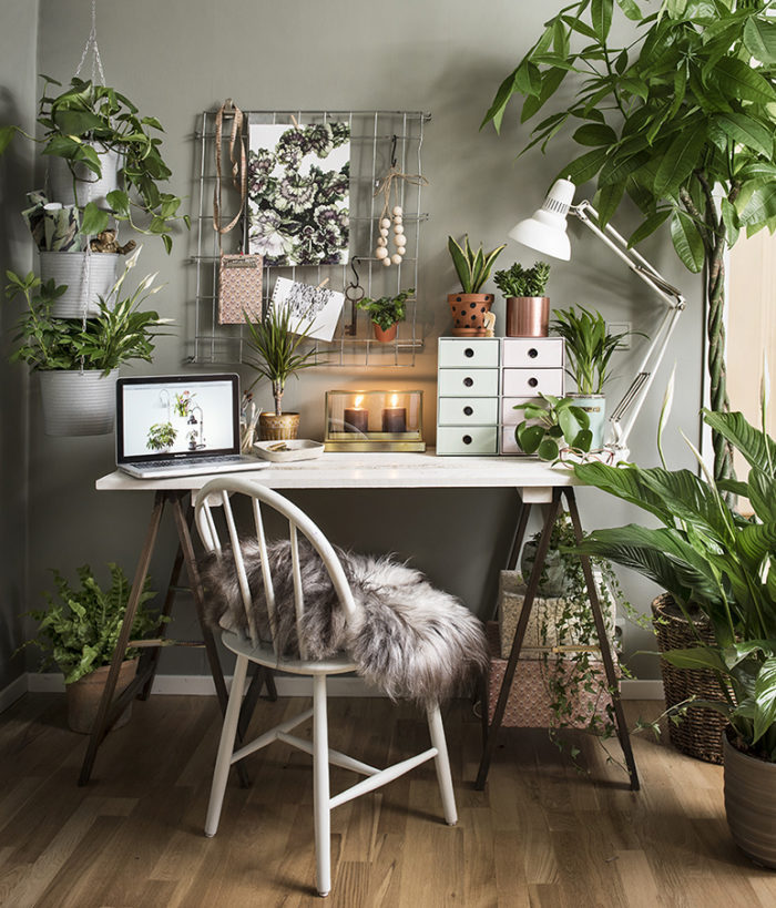 How to have a healthy ‘work from home’ life