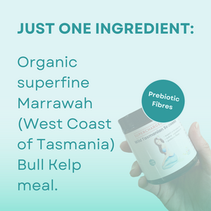 Wild Tasmanian Seaweed, Super Nutrient, 100g
