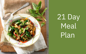 21-day SIBO guide plus recipes and meal plans by Lee Holmes